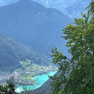 Ciasa Giulia Appartamento Auronzo di Cadore